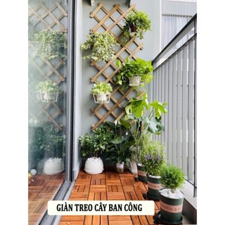 Giàn gỗ treo tường - Hàng rào gỗ trồng cây hoa treo hoa trang trí ban công sân thượng decor sân vườn