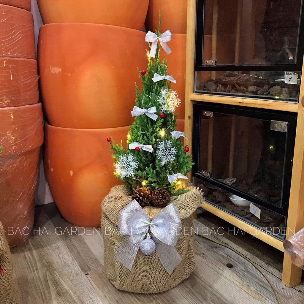 CÂY SƠN TÙNG GIÁNG SINH SIZE 50CM FULL PHỤ KIỆN + TÚI BỐ + ĐÈN LED