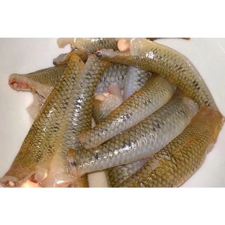 500g cá bống biển