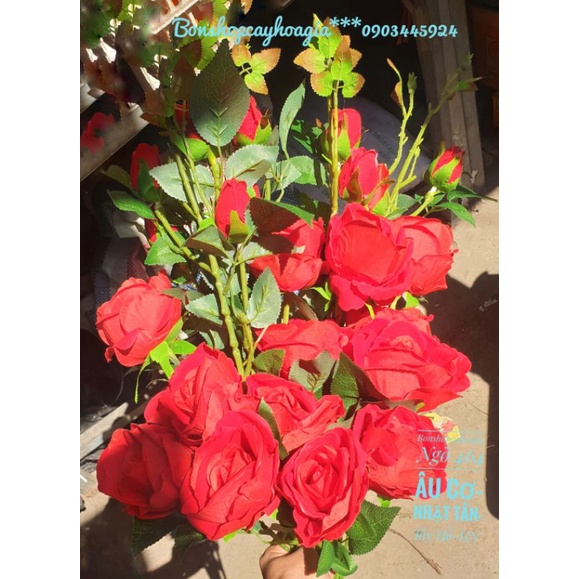 Cành hoa hồng nhung 3 bông,2 nụ nhiều lộc,cao 1m15.