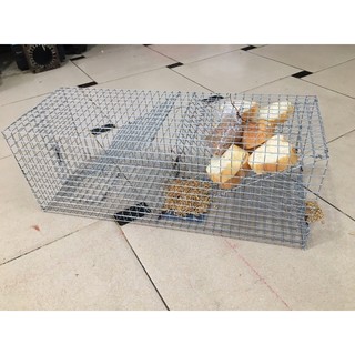 Lồng bẫy chuột liên hoàn (loại lớn) + tặng kèm mồi như hình