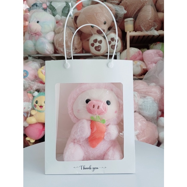 Túi giấy kiếng kích thước  cm