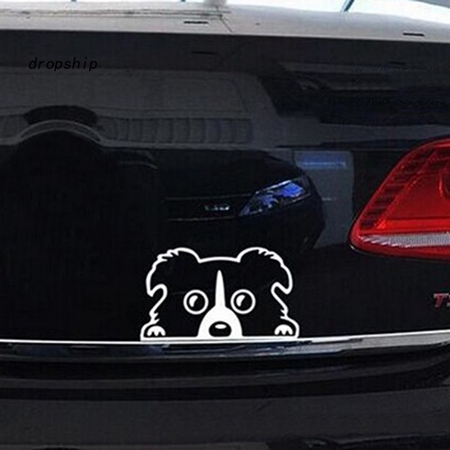 Đề Can Phản Quang Chống Thấm Nước Hình Chú Chó Con Dễ Thương Dán Trang Trí Xe Hơi / Cốp Xe Tải
