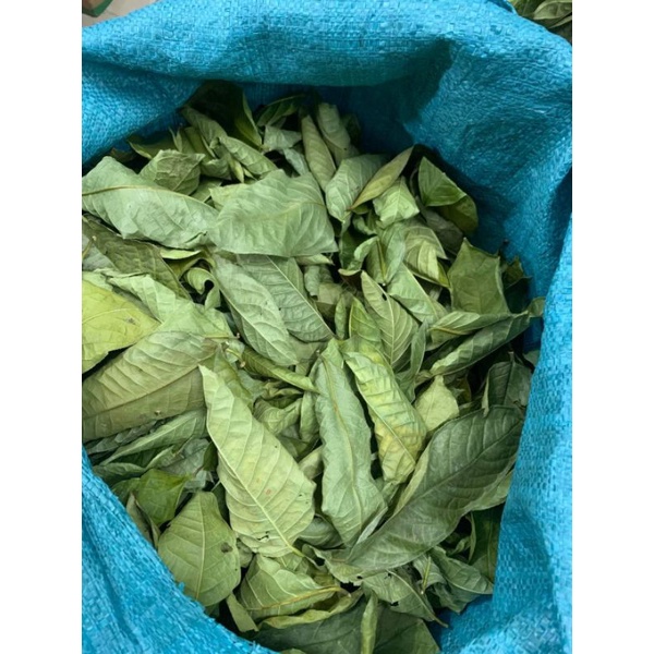0.5kg lá chè trà hoa vàng Ba chẽ. ức chế ung thư, hạ huyết áp