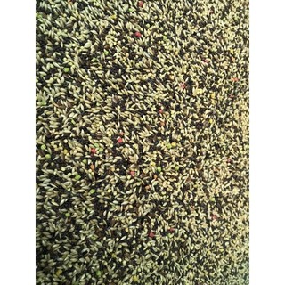Hạt trộn cho yến hót, finch,7màu….