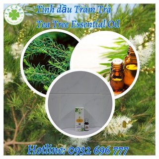 Tinh dầu Tràm Trà Tea tree essential oil Cao Cấp Nhập Khẩu, Thiên Nhiên Nguyên Chất - 10ml/50ml/100ml