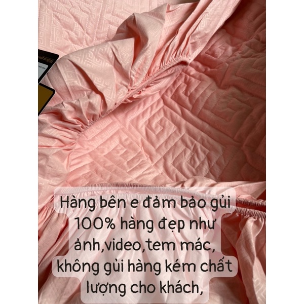 Ga Hilton cotoon Trần bông thêu (không gối)Sam-store | BigBuy360 - bigbuy360.vn