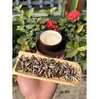 BẠCH SHAN TIÊN -  GÓI (100g) HOẶC HỘP QUÀ CAO CẤP - TRÀ RỪNG TÂY CÔN LĨNH