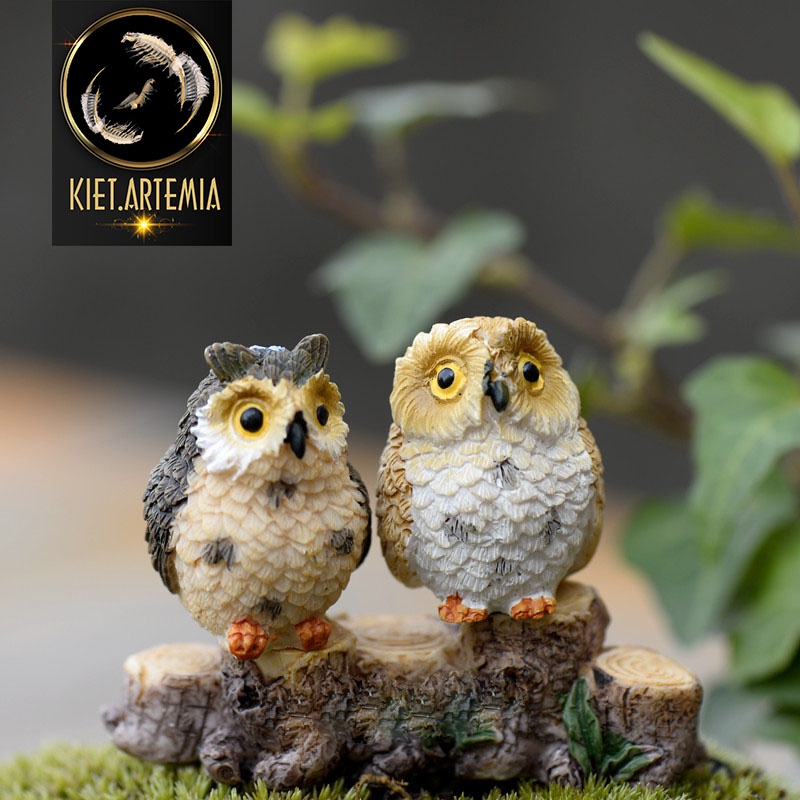 Trang trí bể cá tượng cú, tiểu cảnh hồ cá, sen đá, terrarium, trang trí bể cá mini
