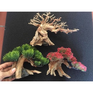 Cây bonsai lũa trang trí bể cá bể thủy sinh - bonsai gắn rêu ráy - bonsai tán nhựa dùng bể 25-50cm