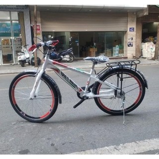 Xe đạp thể thao địa hình Việt Nhật người lớn 26-24-20 inh