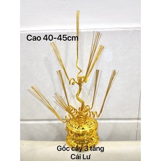 Gốc cây kim tiền( thỏi vàng +gốc)
