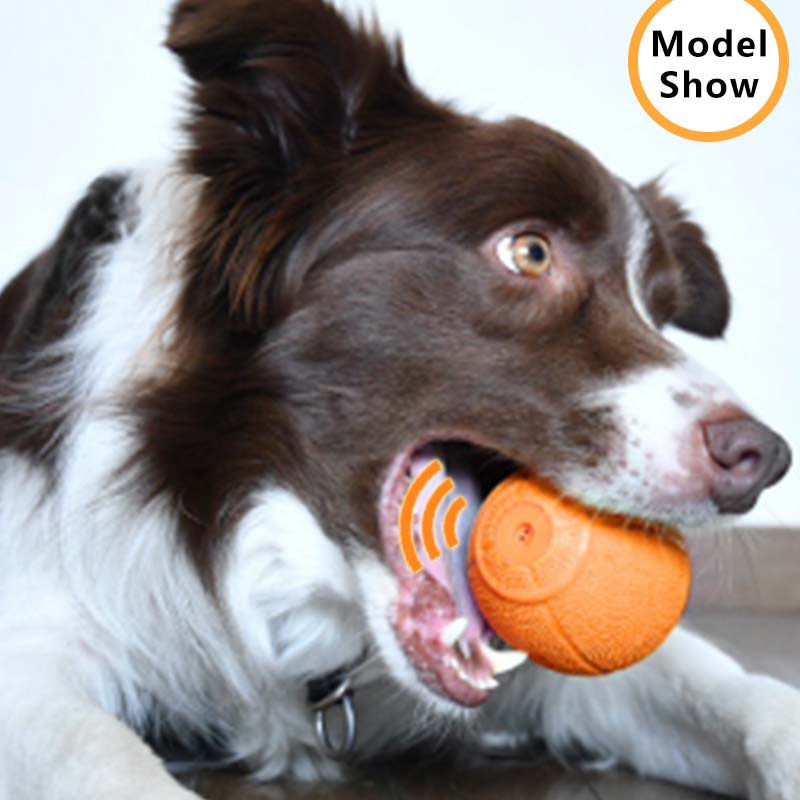 HamshMoc Đồ Chơi Bóng Cao Su Có Âm Thanh Huấn Luyện Thú Cưng