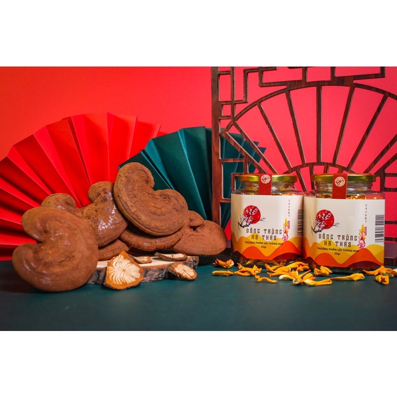 Hộp Nấm Linh Chi Xay nhuyễn thượng hạng