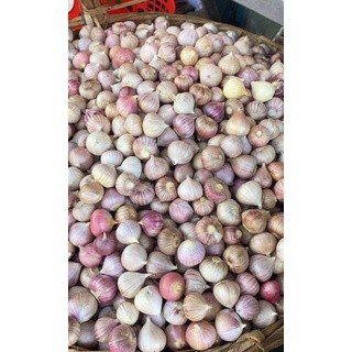 Tỏi Cô Đơn Loại Ngon 1 KG