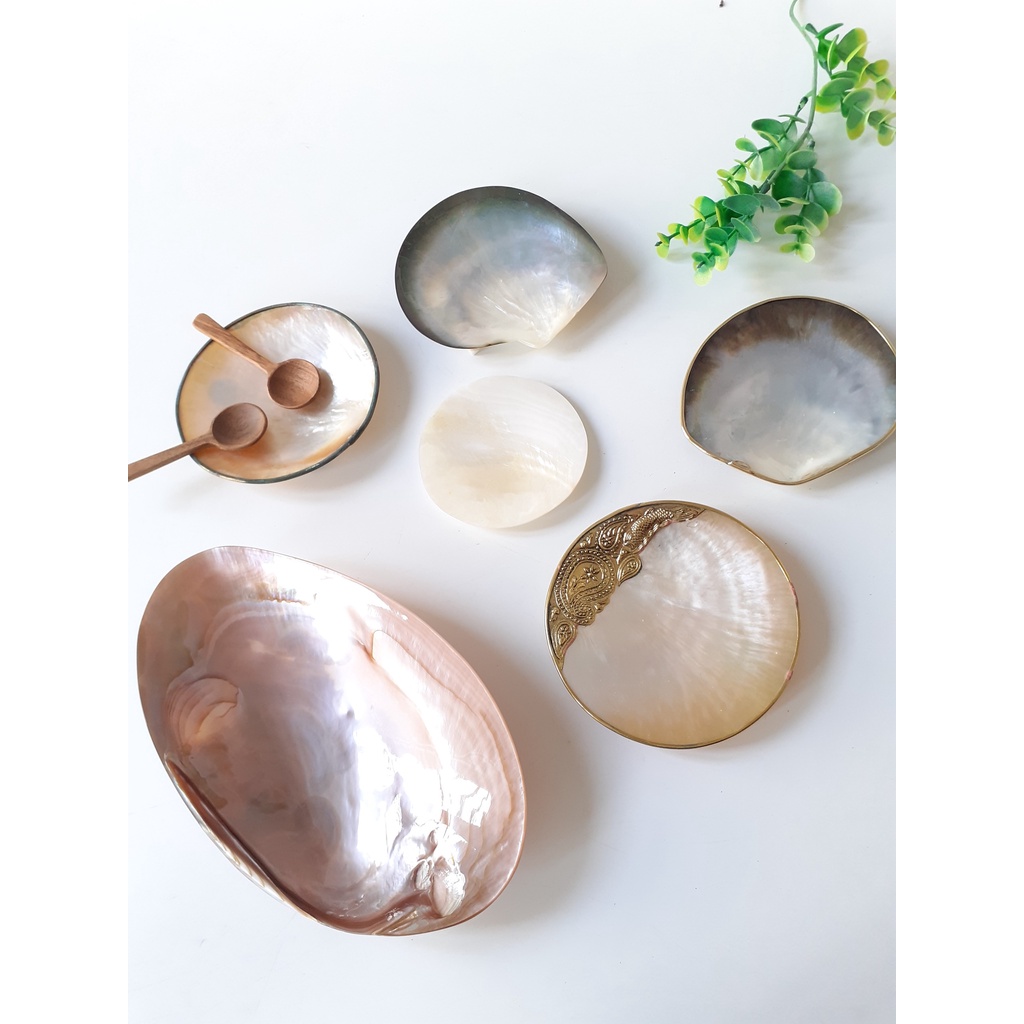 Đĩa trai hồng, đĩa xác đen, xác vàng Diềm Mạ Niken màu Vàng