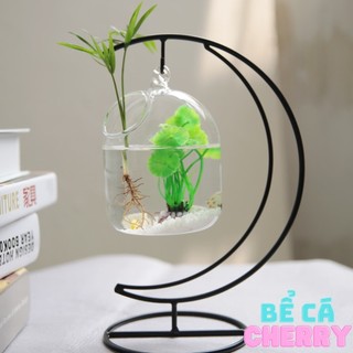 Bể cá mini cung trăng - 18
