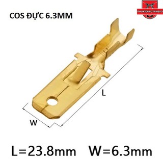 Cos lưỡi 6.3 đực có lỗ, cos ghim sạc 6.3 - at40 /hình ảnh thực tế