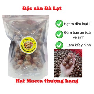 Hạt macca Đắk Lắk thơm ngon béo ngậy - nữ hoàng quả khô 500g