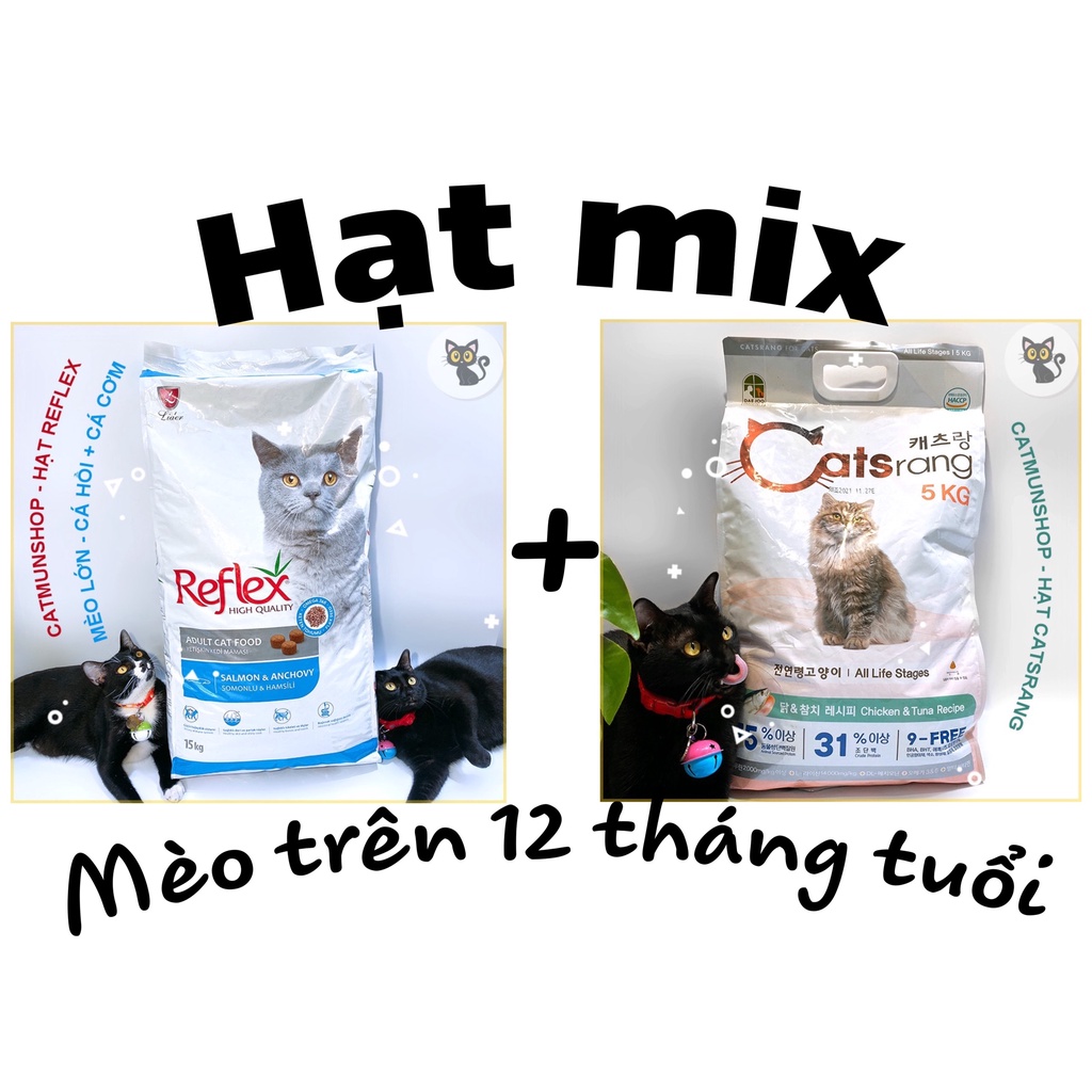 HẠT CHO MÈO MIX CATSRANG + REFLEX CÁ CƠM, CÁ HỒI CHO MÈO LỚN