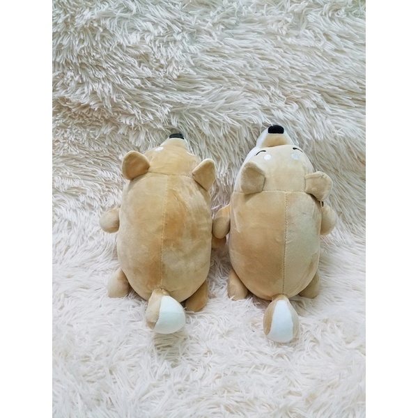 Gấu bông chó Shiba mềm mịn như miniso