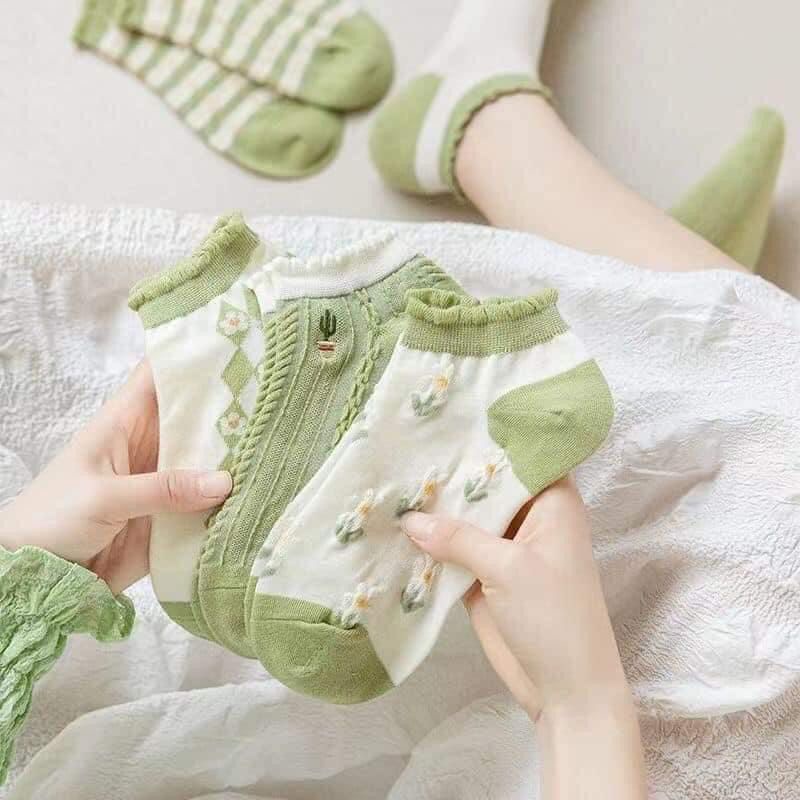 SET 5 TẤT HOA NỮ