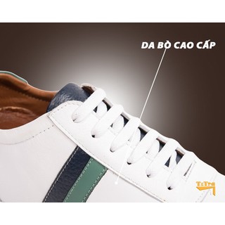 [ 8CM ] Giày Cao Nam T&TRA T29 T