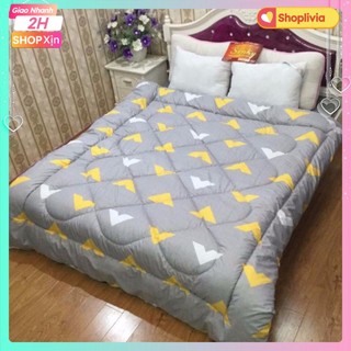 Chăn phao siêu nhẹ shoplivia chữ v vàng