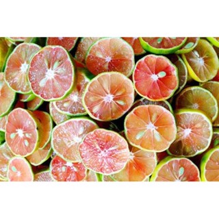 1kg Chanh Đào Tươi Hoà Bình ( Chanh cuối mùa)