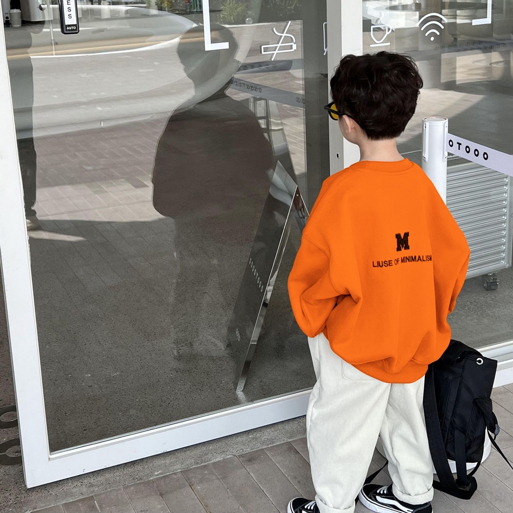 Áo nỉ bông phong cách Hàn Quốc cho bé trai AOM2201