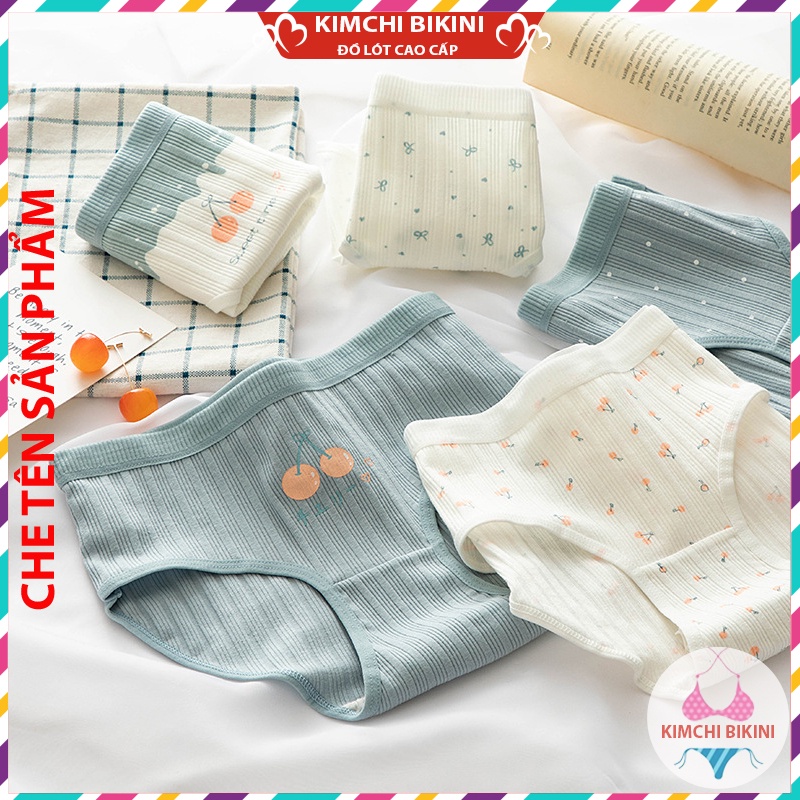 Set 10 quần lót nữ cotton cạp to vải mềm KIMCHIBIKINI Combo 10 quần nót nữ dễ thương chống viêm QL039