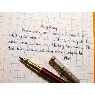 Bút thầy Ánh SH003 (ngòi êm trơn hoặc ngòi mài)