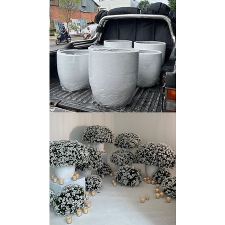 Chậu trồng cây xi măng DT005