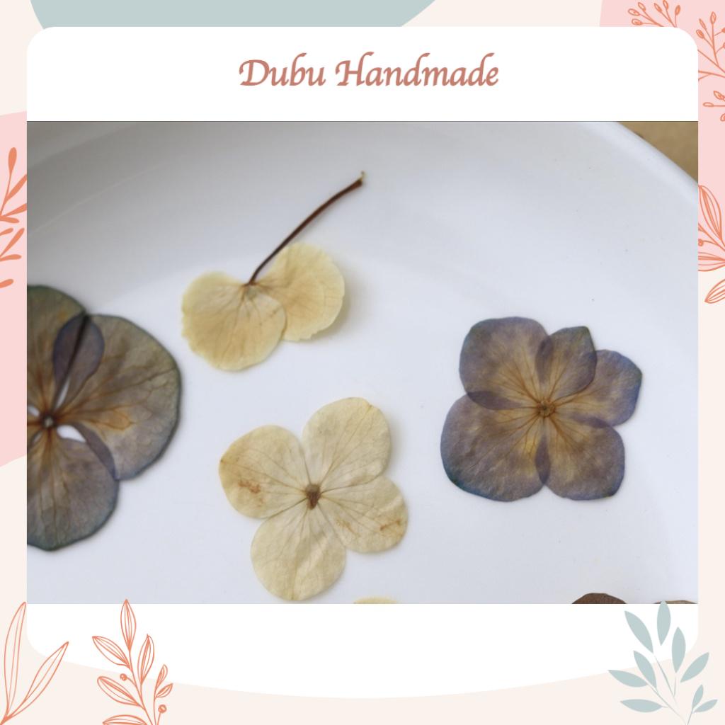 Set 12 bông Hoa cẩm tú cầu ép khô mix 3 màu handmade làm resin, journal DIY