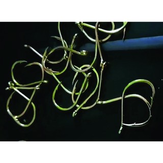 Hộp 100 Lưỡi Câu Thép Siêu Khủng