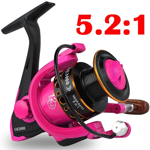 Máy câu cá máy đứng 12 BB 5.0: 1 Cuộn câu cá quay 1000-3000 Bộ cuộn cá chép cho bánh xe câu cá Bass