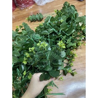 Lá táo rời tiện lợi 1 cành