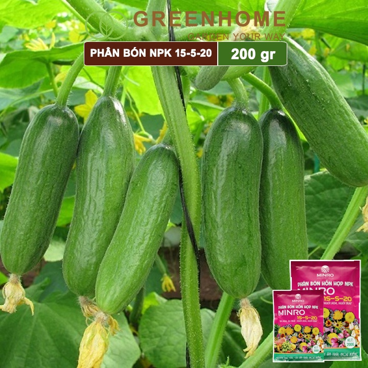 Phân NPK 15-5-20 Minro, bao 200gr, bón kích ra hoa, đậu trái |Greenhome