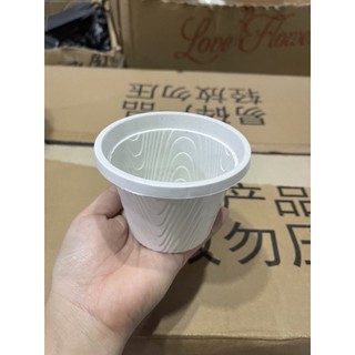chậu nhựa cắm hoa