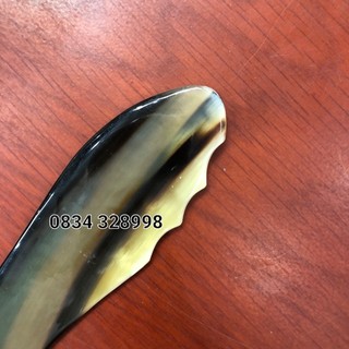 Masage con cá diện chẩn