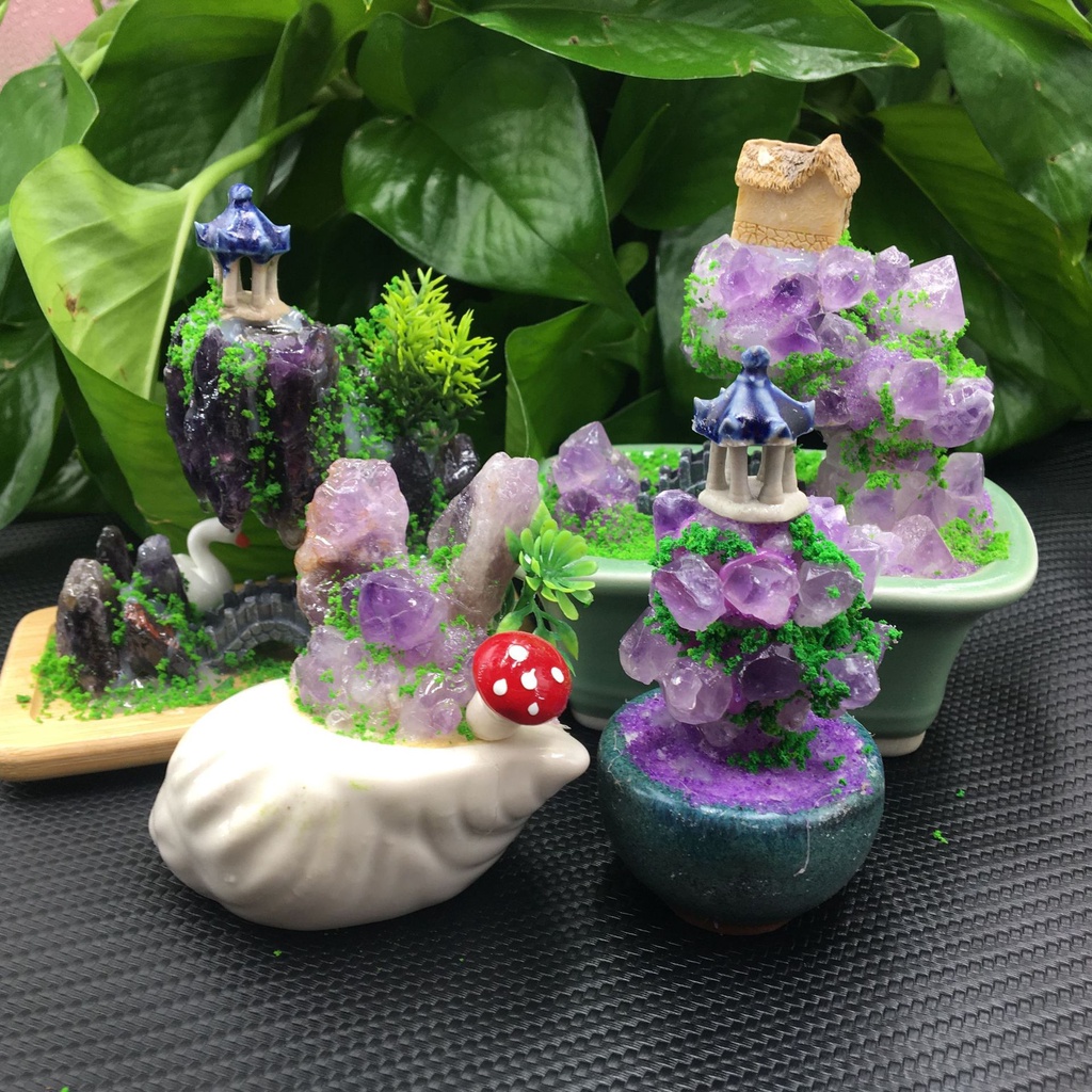 Hàng Bán Chạy Xuyên Biên Giới Cây Thạch Anh Tím Thạch Anh Tím May Mắn Trang Trí Nhà Cửa Sân Vườn Văn Phòng