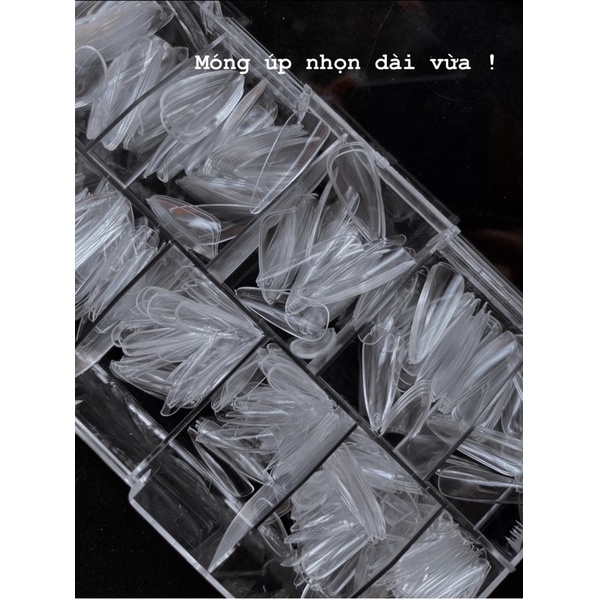 Móng úp nhọn dài vừa