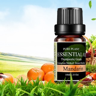 [ CHAI LỚN NGUYÊN CHẤT] TINH DẦU VỎ QUÝT KHUẾCH TÁN THƠM PHÒNG XÔNG ĐUỔI MUỖI HƯƠNG NGÁT CHO PHÒNG ARAMACS 10 |100 ML
