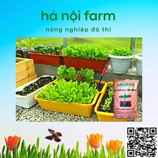 1kg đất tribat trồng rau