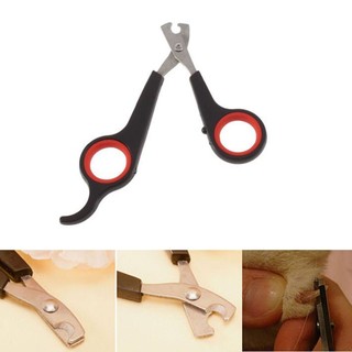 Bộ kềm cắt móng / cắt móng vuốt thú cưng tiện dụng