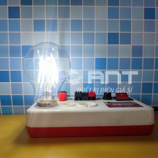 BÓNG ĐÈN LED Dây Tóc Edison A60 / G45 - 4W E27