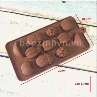 Khuôn silicon nâu trái cây