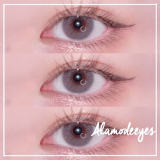 Lens Xám đục áp tròng (Full cận)