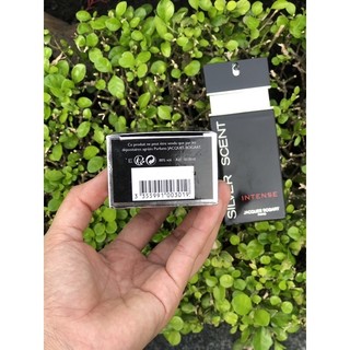 Nước hoa Silver Scent Jacques Bogart