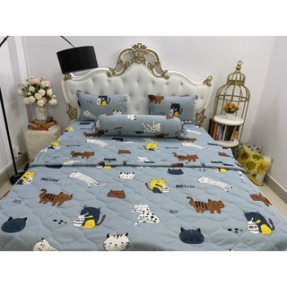 Bộ Drap kèm mền Thun Hàn Quốc ( 5 món } đủ size